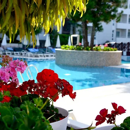 Calimera ホテル シダ