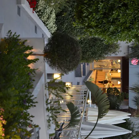 Calimera 4* Σιντέ