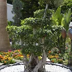 Calimera 4* سيدي